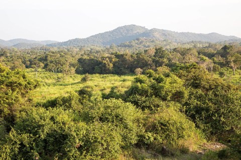 Landscape overview Hurulu Eco Park biosphere reserve, Habarana, Anuradhapura District, Sri Lanka,