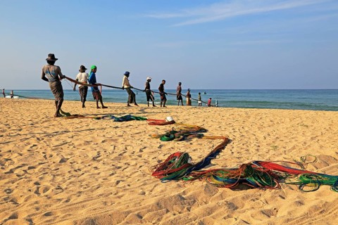 Traditional fishing hauling nets Nilavelli beach, near Trincomalee, Eastern province, Sri Lanka,