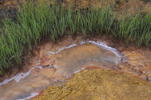 Paint Pots, iron-rich cold mineral springs in the Kootenay National Park, British Columbia, Canada,