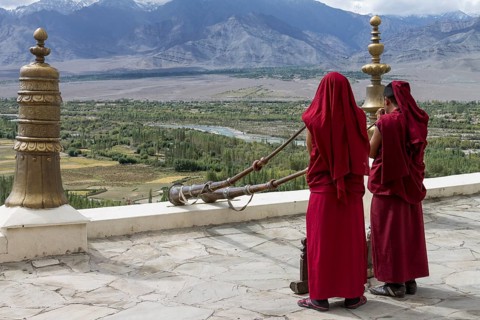 Monks playing Tibetan horns, dungchens, standing on the roof of Thikse Gompa, a large, Buddhist