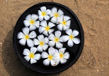 Bowl of floating frangipani flowers, Maalu Maalu Resort hotel beach, Pasikudah Bay, Eastern