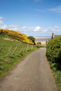 Coastal landscape at Budle Bay, Northumberland coast, England, UK