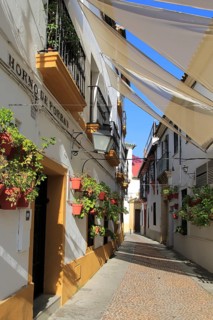 Attractive shaded houses cobbled street in of part of city, Horno de Porras, Cordoba, Spain, Europe