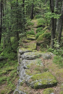 The Pagan Wall, Mur Paien in forest near Mont Sainte-Odile, Vosges, Alsace, France, Europe