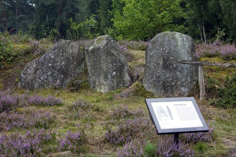 Passage grave at Oldendorfer Totenstatt, group of six burial mounds and megalith sites in Oldendorf