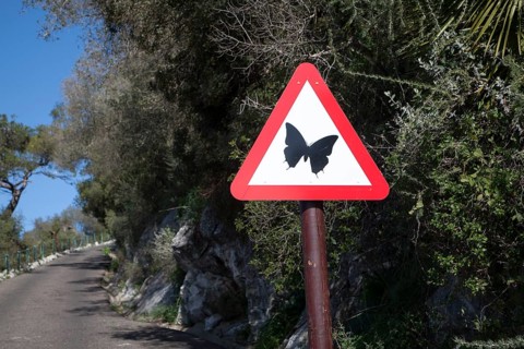 Road sign picture of a butterfly Rock nature reserve Gibraltar, British terroritory in southern
