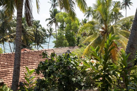 View over rooftops and palm trees to to blue ocean, Mirissa, Sri Lanka, Asia
