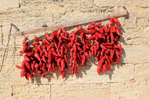 Red chilli peppers drying in the sun, Vejer de la Frontera, Cadiz Province, Spain, Europe