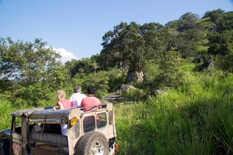 Elephant safari in Hurulu Eco Park biosphere reserve, Habarana, Anuradhapura District, Sri Lanka,