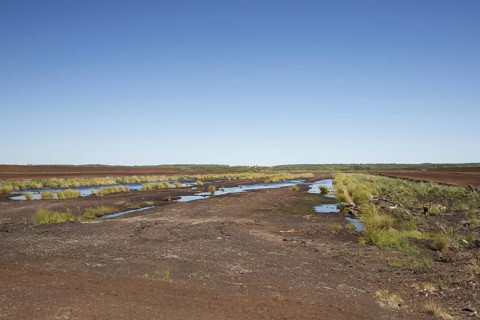 Peat extraction at Totes Moor, Tote Moor, raised bog near Neustadt am Ruebenberge, district of