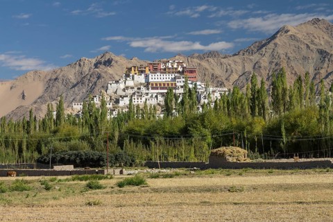 Thikse Gompa, the Buddhist monastery of Central Ladakh, seen late in the summer from the