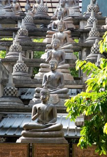 Buddha statues at Gangaramaya Buddhist Temple, Colombo, Sri Lanka, Asia