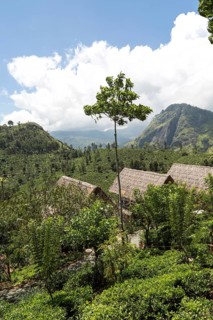 98 Acres resort luxury lodges, Ella, Badulla District, Uva Province, Sri Lanka, Asia view to Ella