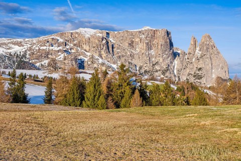 Spring on the Seiser Alm, snow-covered Schlern, Dolomites, South Tyrol