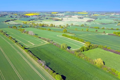 Aerial view over rural bocage landscape with fields and pastures, patchwork of plots surrounded by