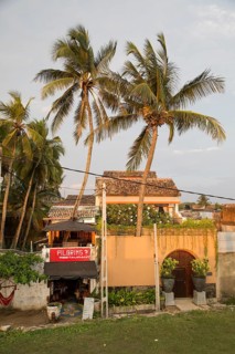 Small restaurant and palm trees in historic town of Galle, Sri Lanka, Asia