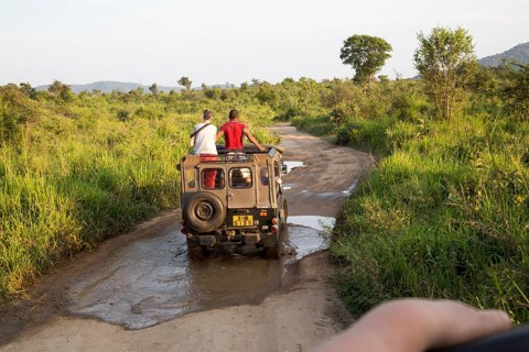 Elephant safari in Hurulu Eco Park biosphere reserve, Habarana, Anuradhapura District, Sri Lanka,