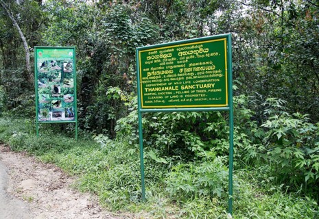Thangamale wildlife sanctuary sign, Haputale, Badulla District, Uva Province, Sri Lanka, Asia