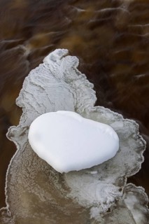 Heart-shaped snow patch on slush ice in river in winter