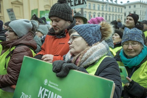 Demonstrators at the central rally, farmers' protest, Odeonsplatz, Munich, Upper Bavaria, Bavaria,