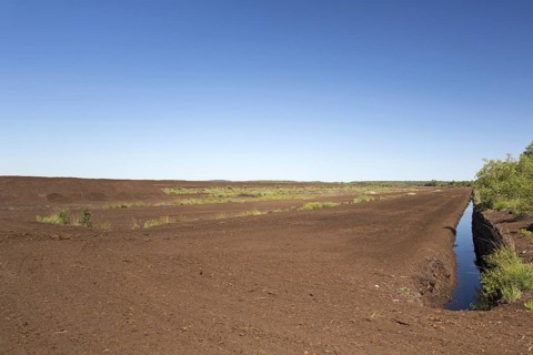 Peat extraction at Totes Moor, Tote Moor, raised bog near Neustadt am Ruebenberge, district of