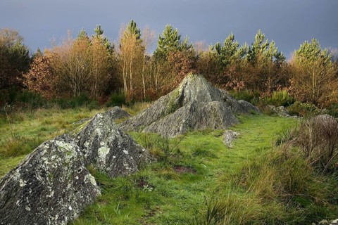 Druid hill, Broceliande at Paimpont, Brittany, France, Europe