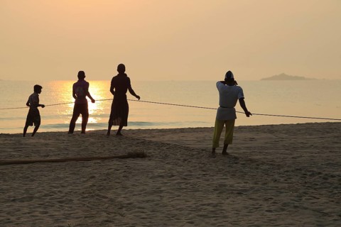 Traditional fishing hauling nets Nilavelli beach, near Trincomalee, Eastern province, Sri Lanka,