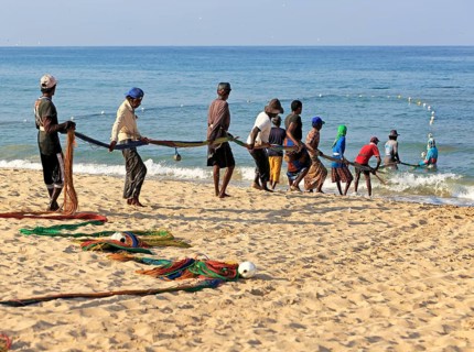 Traditional fishing hauling nets Nilavelli beach, near Trincomalee, Eastern province, Sri Lanka,
