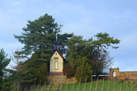 Neo-Gothic chapel built in 1890 on the hill, grapevines, vineyard, Heiligenblut, Alzey, Rhine-Hesse