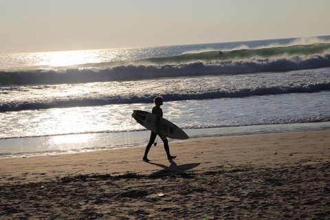 Surfer with board walking on El Palmar beach, Vejer de la Frontera, Cadiz Province, Spain, Europe