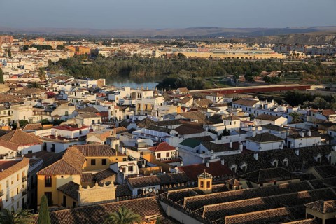 Oblique raised angle view of historic city centre buildings, Cordoba, Spain, Europe