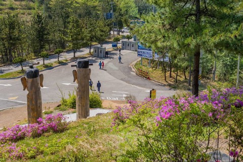 Back of large wooden totem poles in park at Goseong Unification Observation Tower in Goseong, South