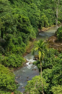 River near Tegenungan waterfall, Bali island, Ubud, Indonesia. Jungle, tropical forest, daytime