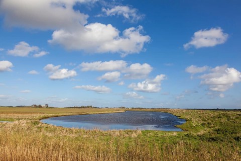 Landscape on the North Sea island of Texel, West Frisian island, province of North Holland,