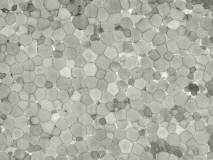 Expanded polystyrene plastic texture background
