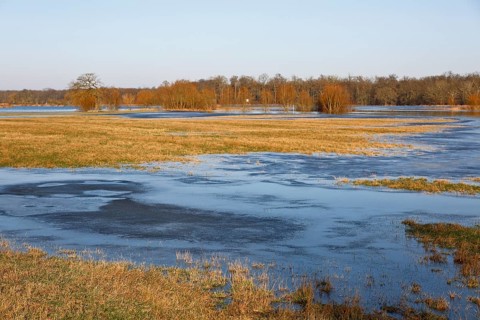 Winter floods 2024 on the Elbe and Mulde rivers with flooding of the meadows, ice on the meadows