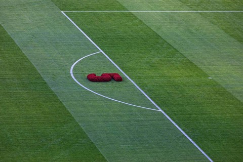 Symbolic shirt number 5 as a flower arrangement on the lawn of the Allianz Arena in honour of Franz