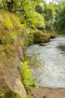 Uma Anyar waterfall, Bali island, Ubud, Indonesia. Jungle, tropical forest, daytime with cloudy sky