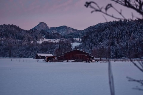 Horse stable on a snow-covered meadow at sunrise with mountain panorama, Niederndorf, Austria,