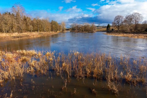 Confluence of the Breg and Brigach rivers to form the Danube, source of the Danube, Donaueschingen,