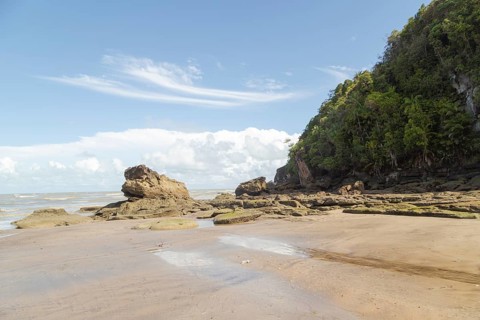 Cliff in Bako national park, sunny day, blue sky and sea. Vacation, travel, tropics concept, no