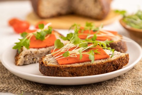 Grain bread sandwiches with red tomato cheese and mizuna cabbage microgreen on gray concrete