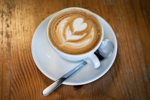 Cappuccino, flower made of milk foam, Reykjavik, Iceland, Europe