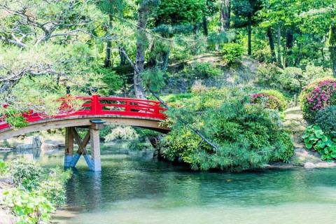 Red wooden footbridge over man made pond in Japanese garden in Hiroshima, Japan, Asia
