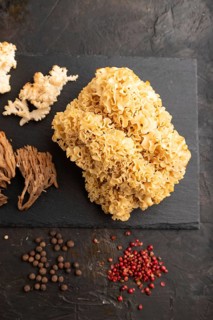Raw Sparassis (Cauliflower Mushroom), Hericium, Clavaria (coral mushroom) on black concrete