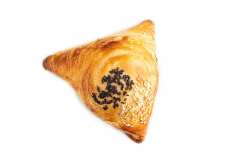 Homemade asian pastry samosa isolated on white background. top view, flat lay, close up