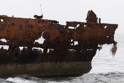 Rusty ship, abandoned herring factory Djupavik, Reykjarfjoerour, Strandir, Arnes, Westfjords,