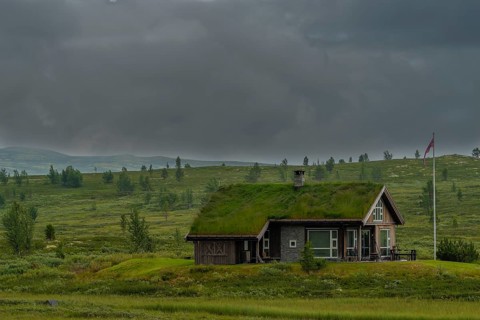 Photo of a holiday cabin, landscape format, log cabin, holiday home, wooden house, grass roof, lawn