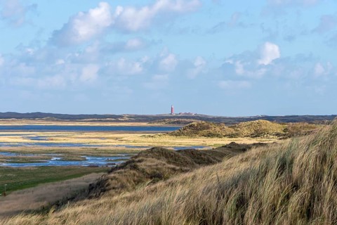 Duinen van Texel National Park, dunes of Texel, North Sea island of Texel, West Frisian island,