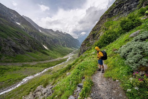 Mountaineer on a hiking trail, green mountain valley Floitengrund with mountain stream Floitenbach,